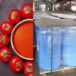 Aseptic Tomato Paste, Brix 36-38% from Iran In Best Price