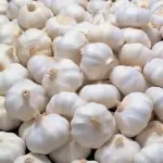 Buy Iranian Garlic At Bulk Customize Packaging For Export