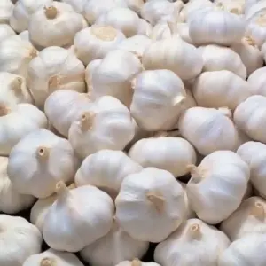 Buy Iranian Garlic At Bulk Customize Packaging For Export