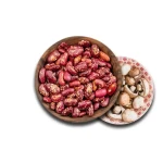 Canned Beans with Mushrooms Order Fulfillment low Price in Iran
