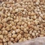 Iranian Dried White Mulberries For Wholesale In Best Price