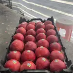 Buy Fresh Red Apple Wholesale with lowest Price