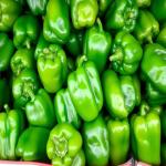 Bell Peppers For Export in Best Price