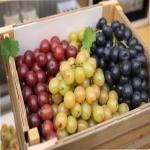 Iran Grapes for Export in Wholesale With Cooperation Prices Order Now