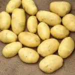 Potatoes Wholesale in Iran For Best Price
