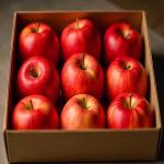 Iranian Apples Ready to Sale in Bulk At Best Price