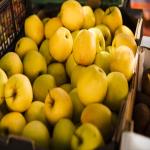 Iranian Apples Ready to Sale in Bulk At Best Price