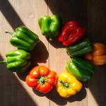 Iranian Bell Pepper For Export