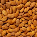 Exclusive Export of Premium Iranian Almonds – Available at Cooperation Prices Order Now