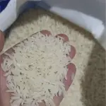 Iranian Lanjan Premium Rice Supplier In Iran Order Now