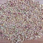 Iranian Pistachio Export to World Market For Cooperation Price