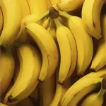 Pakistan Bananas for Wholesale in Iran Order Now