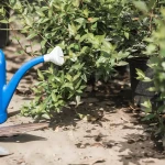 Phosphorus Potassium Liquid Fertilizer In Wholesale Price Order