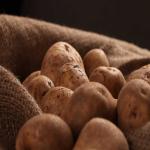 Supplying Wholesale Potatoes Iran Fresh And Sorted For Best Price