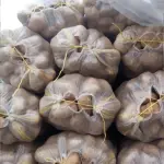 Potatoes Wholesale in Iran For Best Price