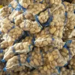 Potatoes Wholesale in Iran For Best Price