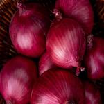 Buy Fresh Onions Wholesale at The Best Price in Iran Order Now