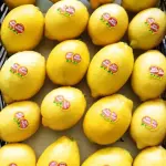 Buy Sour Lemons for Wholesale In Cooperation Price