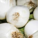 Buy Fresh Onions Wholesale at The Best Price in Iran Order Now