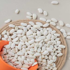 Beans Manufacturers & Suppliers from Iran Red Beans, White Beans, Pinto Beans Wholesale Available In Bulk Best Price