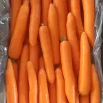 Wholesale Carrot Fresh in Iran At Cooperation Price