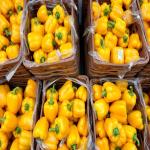 Red Bell Peppers Wholesale Suppliers In Iran