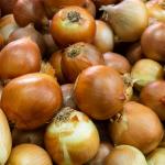 Buy Fresh Onions Wholesale at The Best Price in Iran Order Now