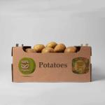 Fresh Potatoes From Iran For Wholesale