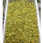 Raisins Red Green Black At Best Price In Bulk Order
