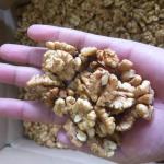 Iran Walnuts Ready To Export in BEST Price