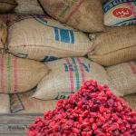 Wholesale Persian Barberries in Best Offer