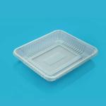 Plastic Protein Packaging Containers in The Wholesale at Good Price