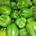 Bell Peppers Export In Best Price