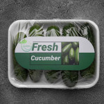 Fresh Iran Cucumber For Wholesales Price