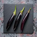 Fresh Eggplants For Best Price In Wholesale