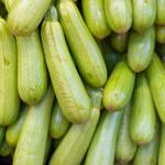 Iranian Zucchini For Export In Wholesale