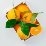 Iranian Orange In Bulk WholeSale & Supplier In Iran