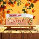 Apricot Iran For Export in Bulk Order Now