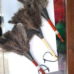 Export Ostrich feather dusters in Iran