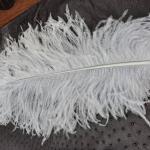 Burgundy Ostrich Feathers Lace Manufacture All Size Available In Stock