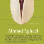 Ahmad Aghaei Pistachio Available in bulk order | Iranian Ahmad Aghaei Pistachio Wholesale & Supply