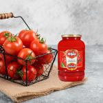 Premium Tomato Paste In Bulk Order