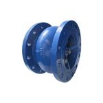 Check Valves for Water Supply, Industrial Systems – Export Supplier