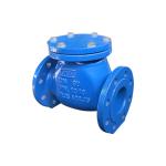 Check Valves for Water Supply, Industrial Systems – Export Supplier
