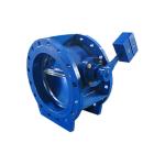 Check Valves for Water Supply, Industrial Systems – Export Supplier