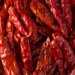 Hot-Dried Paprika in Bulk | Premium Quality, Bulk Orders