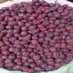 Iranian Organic Jujubes – The Perfect Choice for Bulk Buyers Worldwide