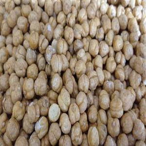 Affordable Bulk Roasted Chickpeas – Ideal for Retailers & Distributors