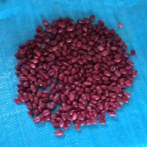 Export of kyrgyz Red Beans – High Quality at Competitive Prices