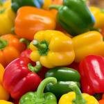 Fresh Bell peppers wholesale In Iran & Supply For Export